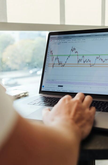 The in a graph translated magnetic field data is displayed on a laptop screen.